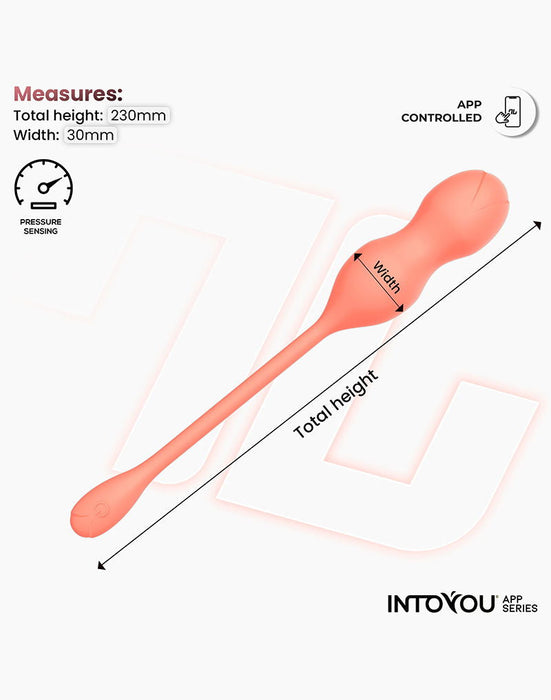 IY - Kyra - App Bediende Bekkenbodemtrainer Vaginaballetjes met Vibratie – Oranje-Erotiekvoordeel.nl