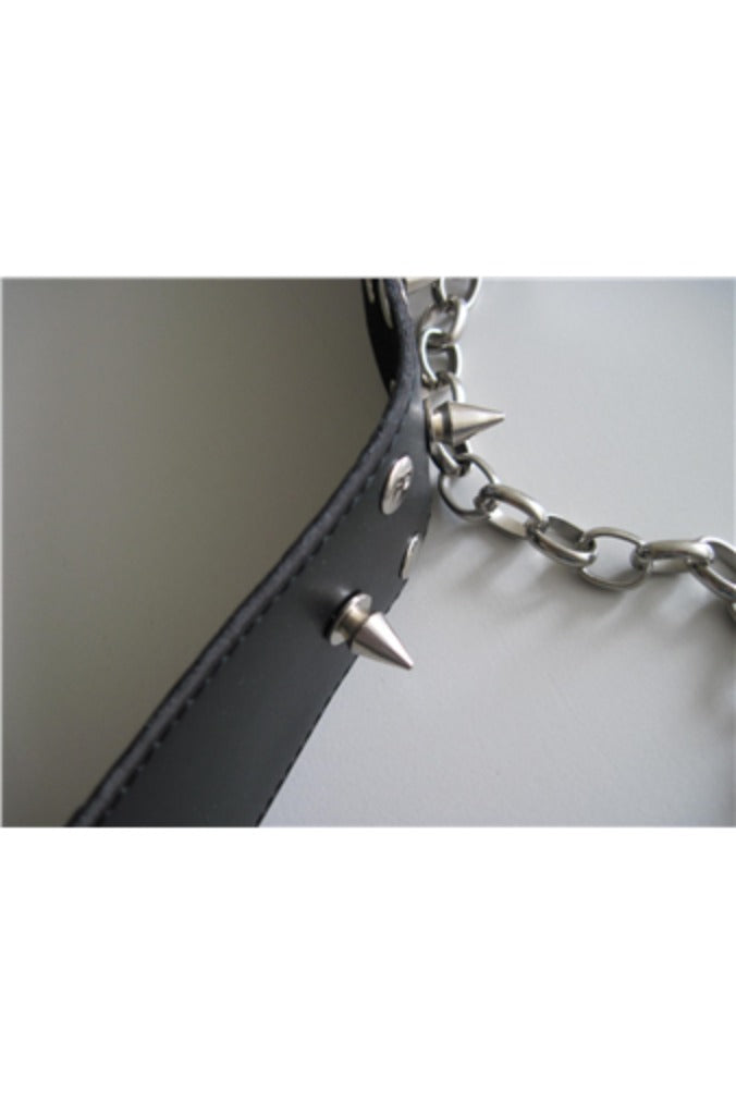 Mister B - Collar - Halsband van Tuigleer met Kegelniet en Hondenriem-laced-up.nl