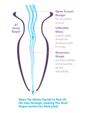 Pipedream - Anal Fantasy Elite Beginner's Anal Glass Gaper- Transparant-laced-up.nl