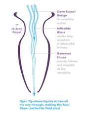 Pipedream - Anal Fantasy Elite Large Anal Glass Gaper - Transparant-laced-up.nl