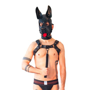 Brutus Vegan Bulldog Harnas - Zwart-laced-up.nl