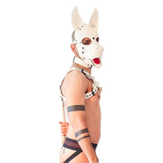 Brutus Vegan Bulldog Harnas - Wit-laced-up.nl
