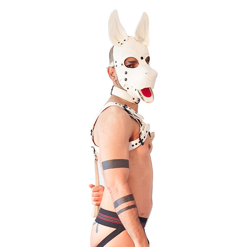 Brutus Vegan Bulldog Harnas - Wit-laced-up.nl