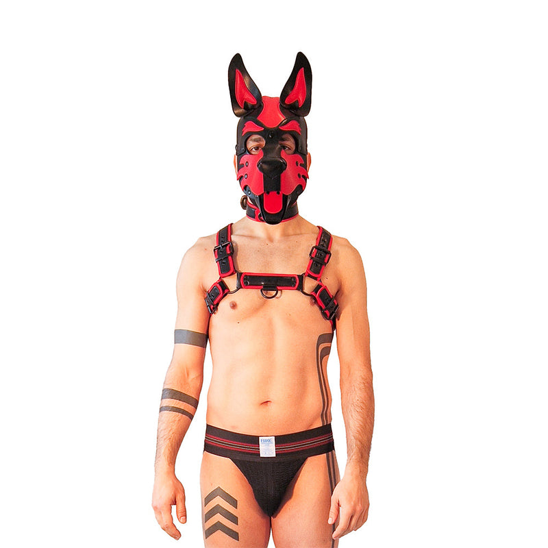 Brutus Vegan Puppy Harnas - Zwart/Rood-laced-up.nl