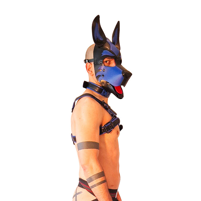 Brutus Vegan Puppy Harnas Zwart/Blauw-Erotiekvoordeel.nl