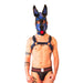 Brutus Vegan Puppy Harnas Zwart/Blauw-Erotiekvoordeel.nl