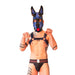 Brutus Vegan Puppy Harnas Zwart/Blauw-Erotiekvoordeel.nl