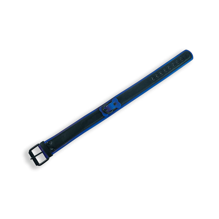 Brutus Vegan Puppy Collar - Zwart/Blauw-Erotiekvoordeel.nl