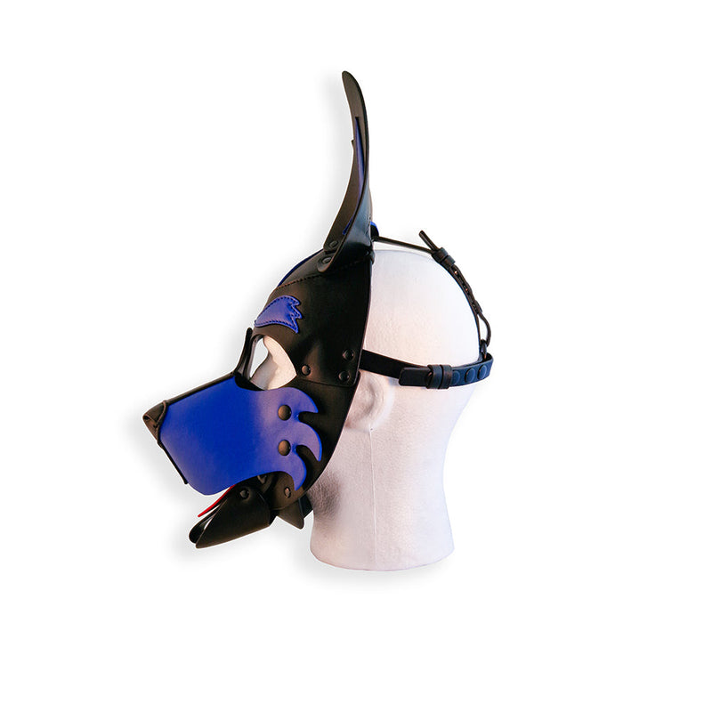 Brutus Vegan Puppy Hood - Zwart/Blauw-laced-up.nl