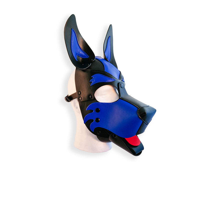 Brutus Vegan Puppy Hood - Zwart/Blauw-laced-up.nl