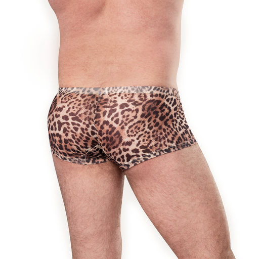Amorable - Transparante Luipaard Heren Short - Panterprint-Erotiekvoordeel.nl