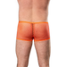 Amorable - Visnet Herenshort - Oranje-Erotiekvoordeel.nl