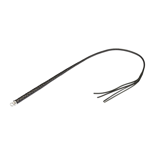 RISE - BDSM Zweep - Feather Single Tail - Zwart-Erotiekvoordeel.nl