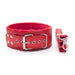 Smart Moves - Bont Gevoerde Collar met Leiband - Rood-Erotiekvoordeel.nl