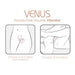 Adrien Lastic - Venus - Handsfree Vibrator met App Control - Roze-Erotiekvoordeel.nl