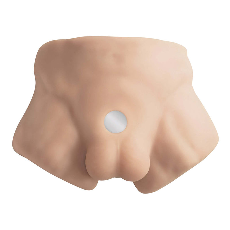 SILEXD - Apollo S - Mannelijke Torso met Realistische Penis-laced-up.nl