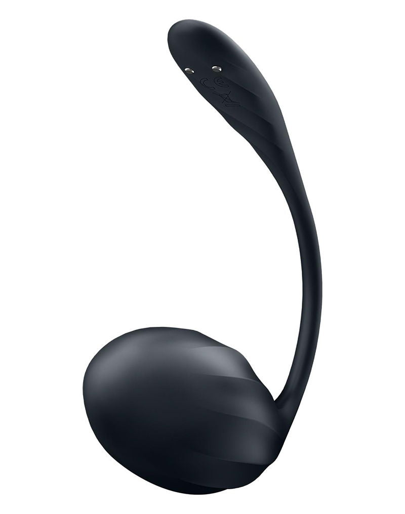 Satisfyer - Ribbed Petal - Draagbare Vibrator - Panty Vibrator - Vibrerend Eitje - Zwart-laced-up.nl