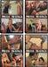 Erotische DVD - Femdom Shed B - 10 Pack-Erotiekvoordeel.nl
