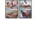 Erotische DVD - Femdom Shed C - 10 Pack-Erotiekvoordeel.nl