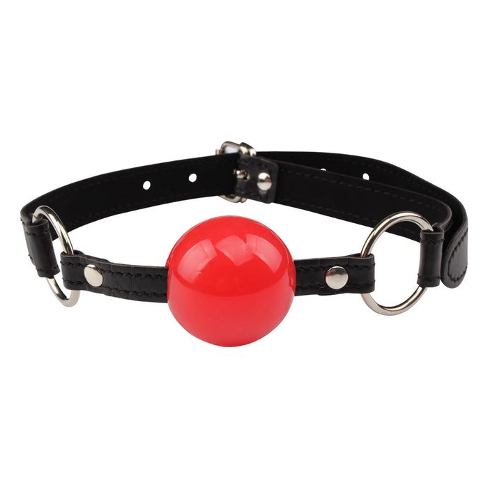 Behave! - Dominate Tonight S&M Kit-Erotiekvoordeel.nl