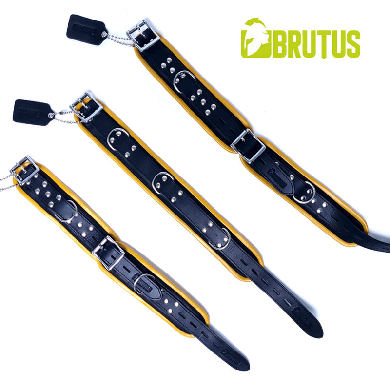 Brutus - Lederen Afsluitbare Collar - Zwart/Geel-Erotiekvoordeel.nl