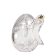 Brutus - Orb - Chastity Cage - Clear - Laced-up.nl