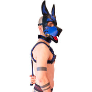 Brutus Veganes Bulldoggen-Harness - Schwarz/Blau - Laced-up.nl