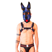 Brutus Veganes Bulldoggen-Harness - Schwarz/Blau - Laced-up.nl