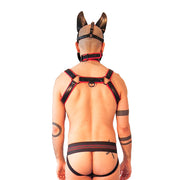 Brutus Veganes Bulldoggen-Harness - Schwarz/Rot - Laced-up.nl