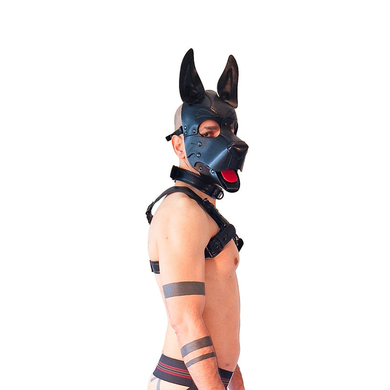Brutus Vegan Puppy Harnas - Zwart-Erotiekvoordeel.nl