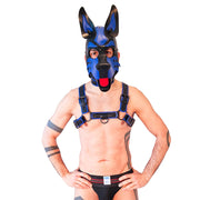 Harnais Brutus Vegan Puppy Noir/Bleu - Laced-up.nl