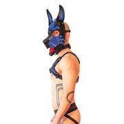 Harnais Brutus Vegan Puppy Noir/Bleu - Laced-up.nl