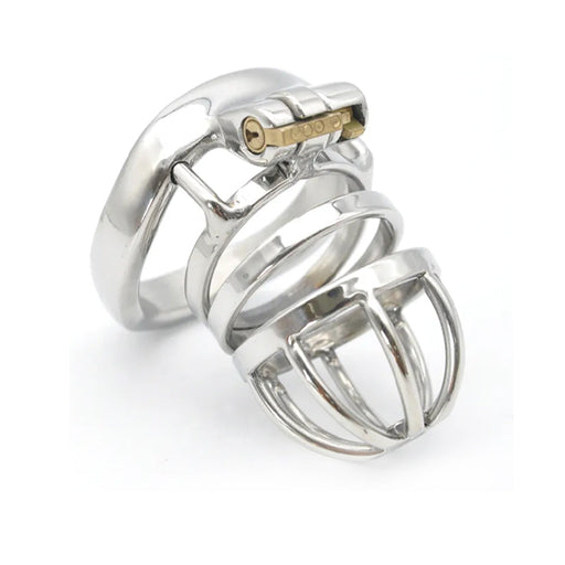 Fixxx - Albert - Kuisheidskooi - Zilver-Laced-up.nl