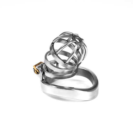 Fixxx - Albert - Kuisheidskooi - Zilver-Laced-up.nl