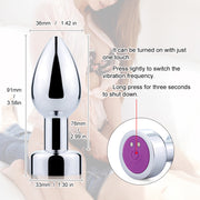 Fixxx - Vibrerende RVS Anaal Plug - Zilver - Diameter 36 mm-Laced-up.nl