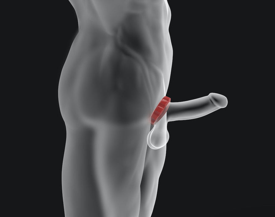 Hünkyjunk - Cog Ring - Set 2 Cockringen - Zwart/Grijs-Laced-up.nl