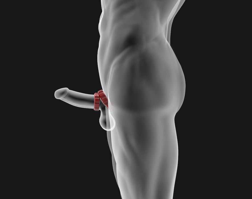 Hünkyjunk - Cog Ring - Set 2 Cockringen - Zwart/Grijs-Laced-up.nl