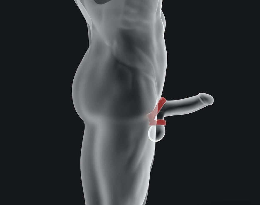 Hünkyjunk - Connect - Penis & Balzak Tugger Ring - Grijs-Laced-up.nl