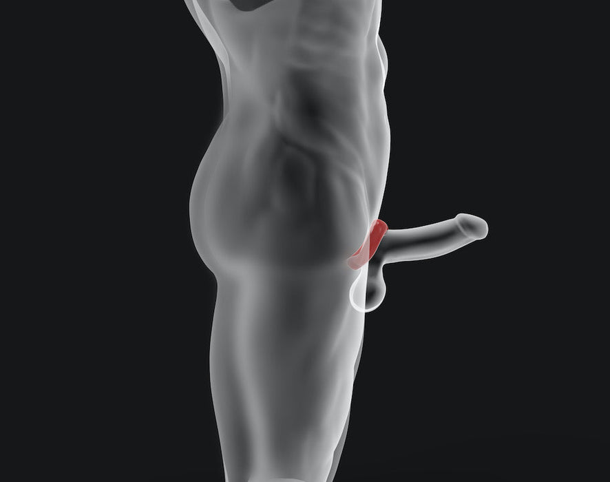 Hünkyjunk - Fit Ergo Shaped Cockring - Ice-Laced-up.nl