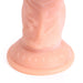 Kiotos Cox - Dildo Met Zuignap 16 x 4 cm - Lichte Huidskleur-Laced-up.nl