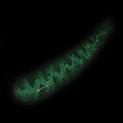 Kiotos Glass - Glazen Dildo Smooth - Glow in the Dark-Laced-up.nl