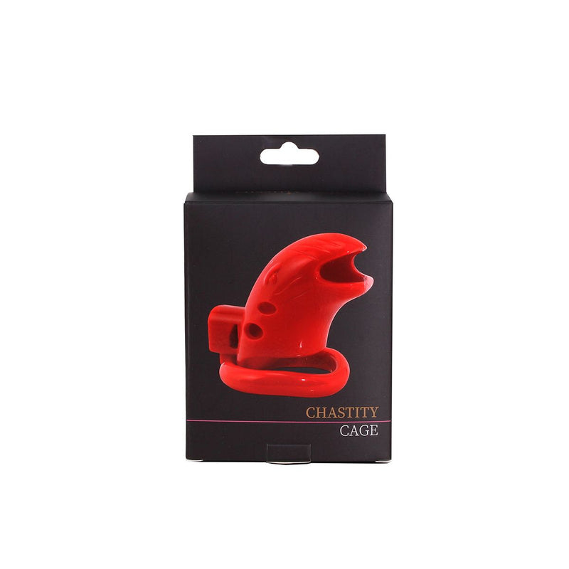 Kiotos - Kuisheidskooi - Plastic - Met 3 Ringen - Transparant-Laced-up.nl