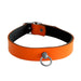 Kiotos Leather - Collar met Kleine O-ring - Leder - Oranje-Laced-up.nl