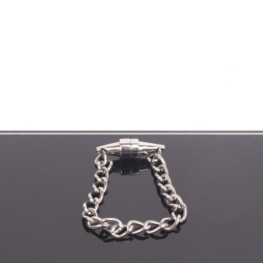 Kiotos - Magnetische Tepelklem Met Ketting - 1 stuk-Erotiekvoordeel.nl