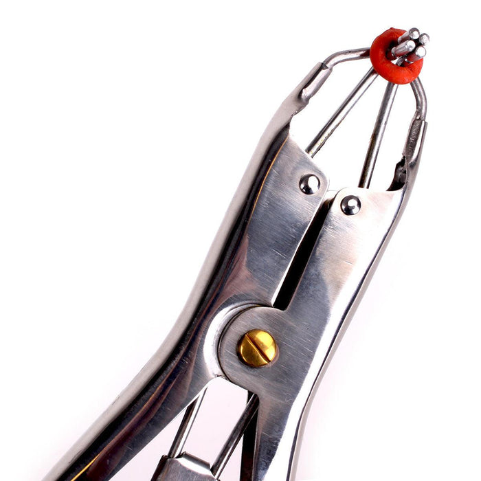 Kiotos - Tepel Martel Instrument-Laced-up.nl