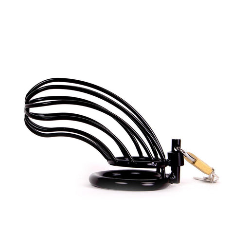 Kiotos - Kuishuidskooi Bird Cage Metaal Met hangslot - Zwart-Laced-up.nl