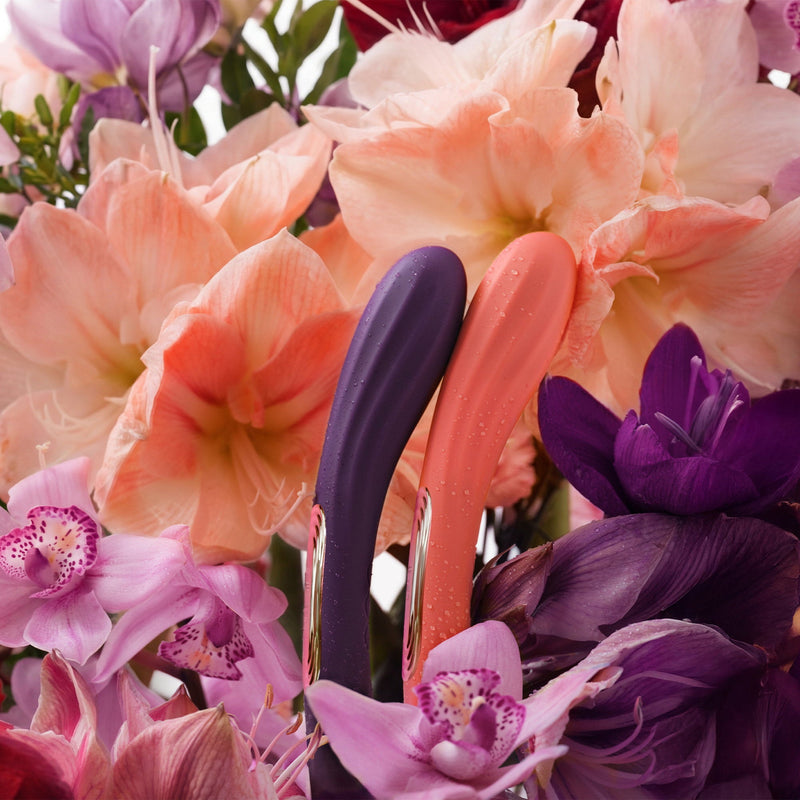 LELO - Boomerang - Dubbelzijdige Vibrator - Dubbele Motor - Paars-Erotiekvoordeel.nl