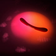 LELO - Boomerang - Dubbelzijdige Vibrator - Dubbele Motor - Paars-Erotiekvoordeel.nl