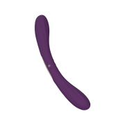 LELO - Boomerang - Dubbelzijdige Vibrator - Dubbele Motor - Paars-Erotiekvoordeel.nl