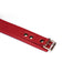 Liebe Seele - Bright Red - PU Lederen Collar met Leiband - Vegan - Rood/Goud-Laced-up.nl